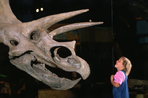 Drumheller Museum